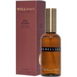 wellmark 100 ml verfrissende kamerspray
