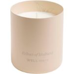 wellmark geurkaars van 100% sojawas luxe