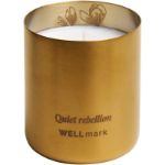wellmark geurkaars van 100% sojawas luxe