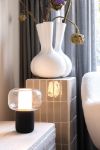lux rcs rplastic 10w luidspreker en lamp