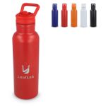 darion vacuüm geïsoleerde thermo fles 500 ml