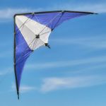 polyester deltavlieger lirien