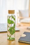 glazen drinkfles 500 ml levi met matte buitenkant