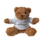 kleine, pluche beer met hooded shirt.