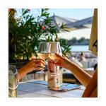 wijnglas op hoge voet, van tritan 460 ml