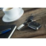 metalen sleutelhanger palmer