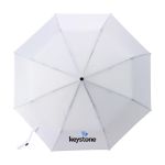 michigan opvouwbare rpet paraplu 21 inch