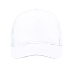 baseball truckercap