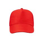 5 panelen polyester truckercap clipak