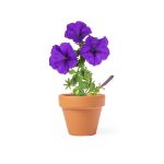 bloempot petunia soltax
