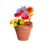 wilde bloemen zaden mussox