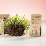 wilde bloemen zaden mussox
