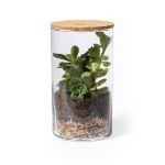 terrarium anymak