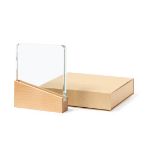 glazen trofee vertu