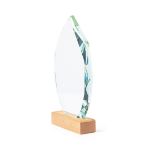 glazen trofee pulman