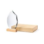 glazen trofee pulman