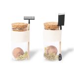 bonbon zaden winsu wilde bloemen