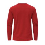 katoenen t-shirt lange mouw 160 g/m2 hawk s-xxxl