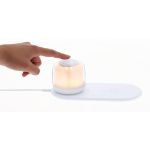 oplader lamp reginal