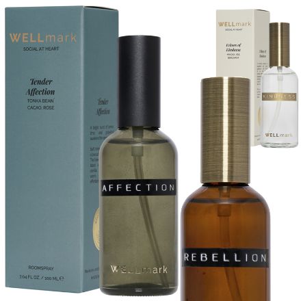 wellmark 100 ml verfrissende kamerspray
