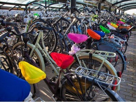 Afbeelding voor categorie zadelhoesjes