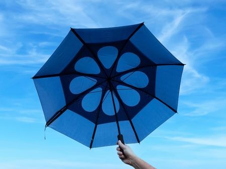Afbeelding voor categorie golfparaplu's