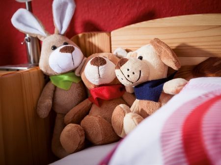 Afbeelding voor categorie knuffels