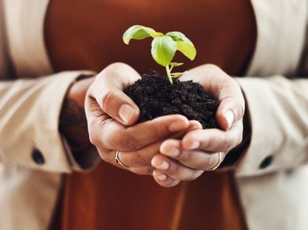 Afbeelding voor categorie groeipapier relatiegeschenken