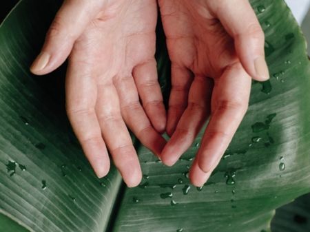 Afbeelding voor categorie veganistische promotieartikelen