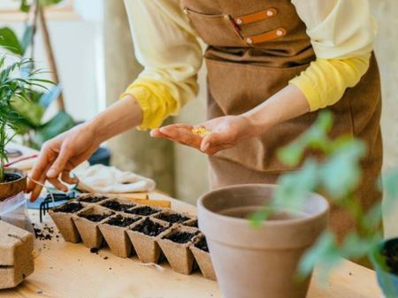 Afbeelding voor categorie ecologische relatiegeschenken