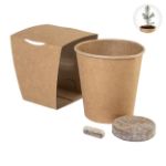kweekpakket voor kerstbomen merrygrow