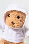 rpet pluh teddybeer met hoodie hobear