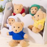 rpet pluh teddybeer met hoodie hobear