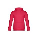 thc phoenix kids hooded sweatshirt