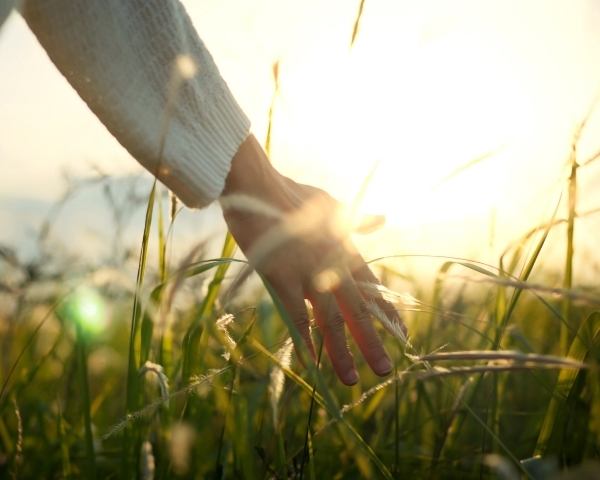 Go Green met ecologische geschenken