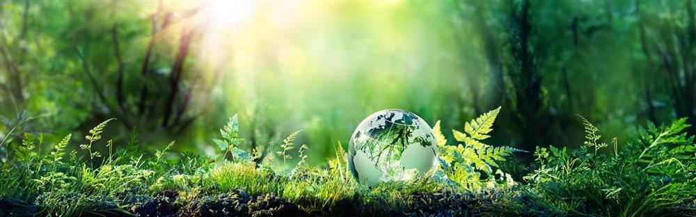 Online globes op maat bestellen, bij Harogifts