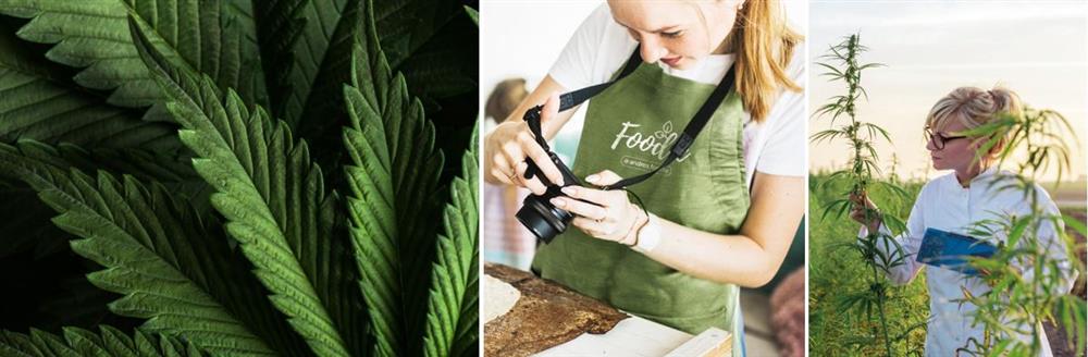 Online geschenken met hennepvezels op maat bestellen, bij Harogifts