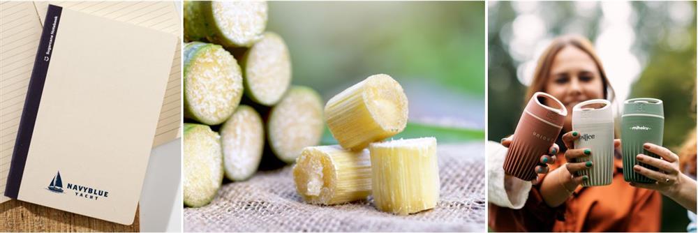 Online ECO gifts van suikerriet op maat bestellen, bij Harogifts