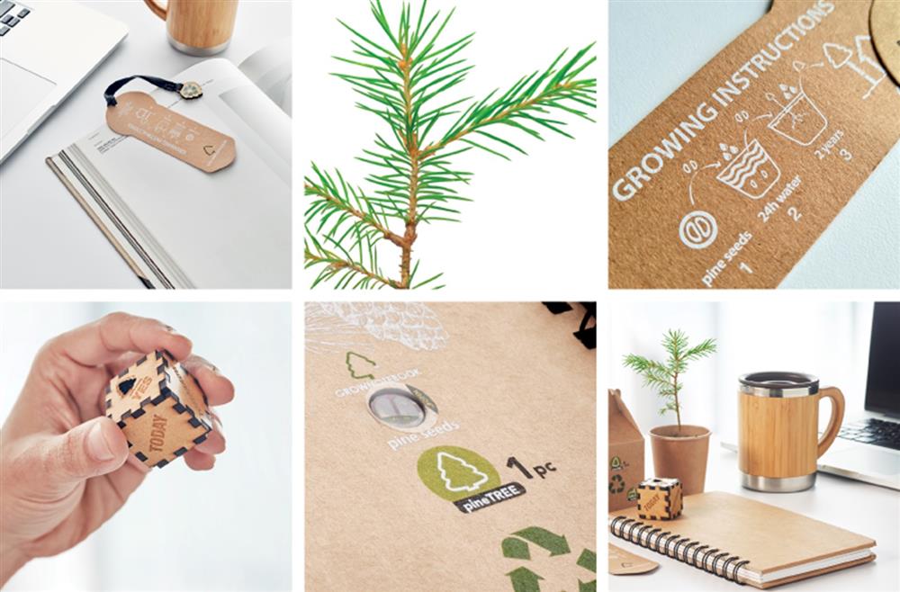 Online Growtree™ op maat bestellen, bij Harogifts