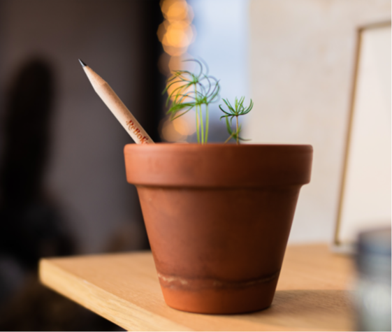 sprout het merk