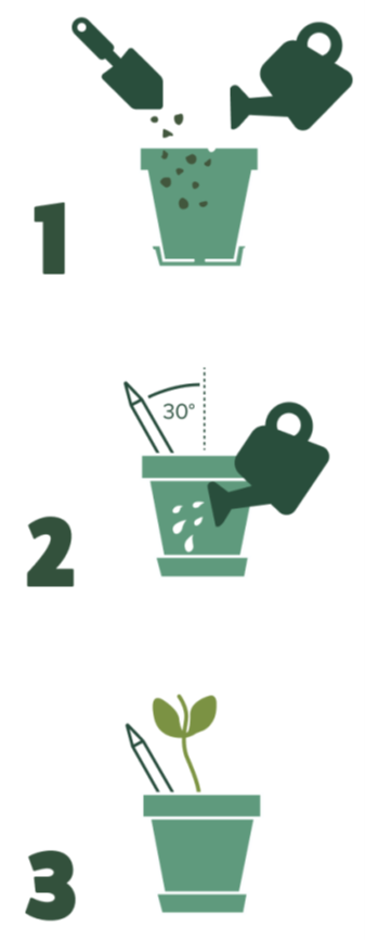Hoe werk dit bij Sprout potloden?