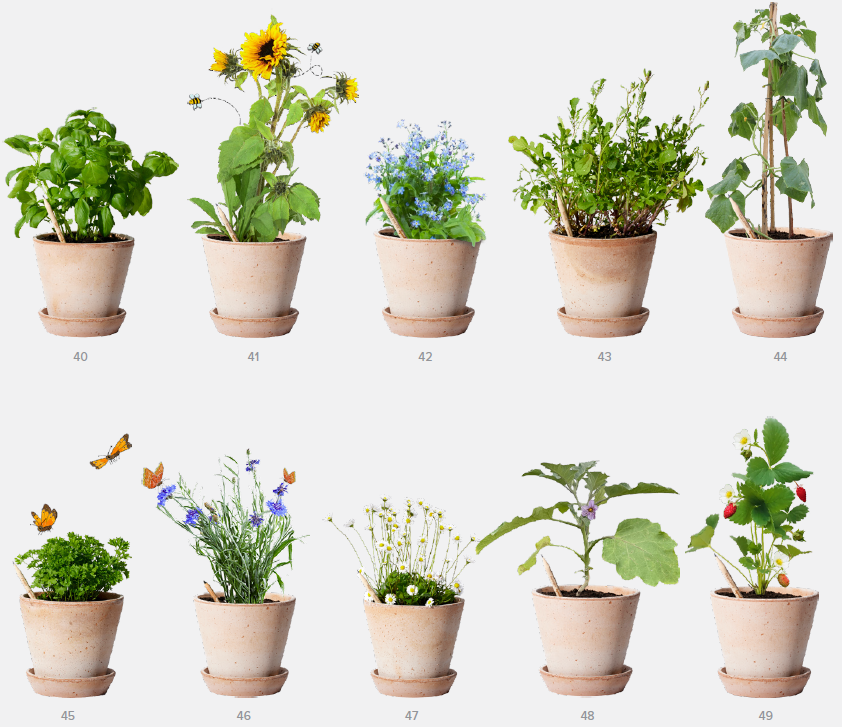 Maak je keuze uit diverse zaden bij Sprout potloden