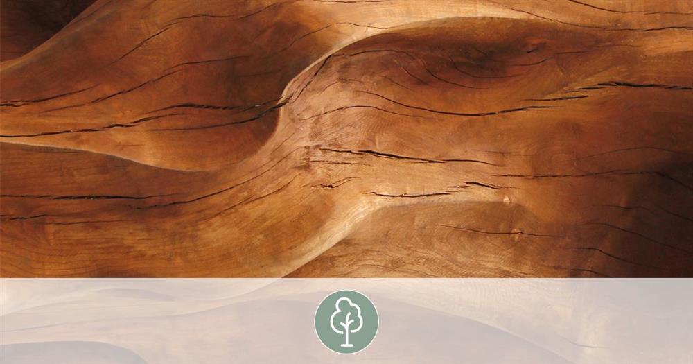 Hout als duurzaam materiaal